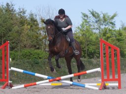 IMG_0579_web